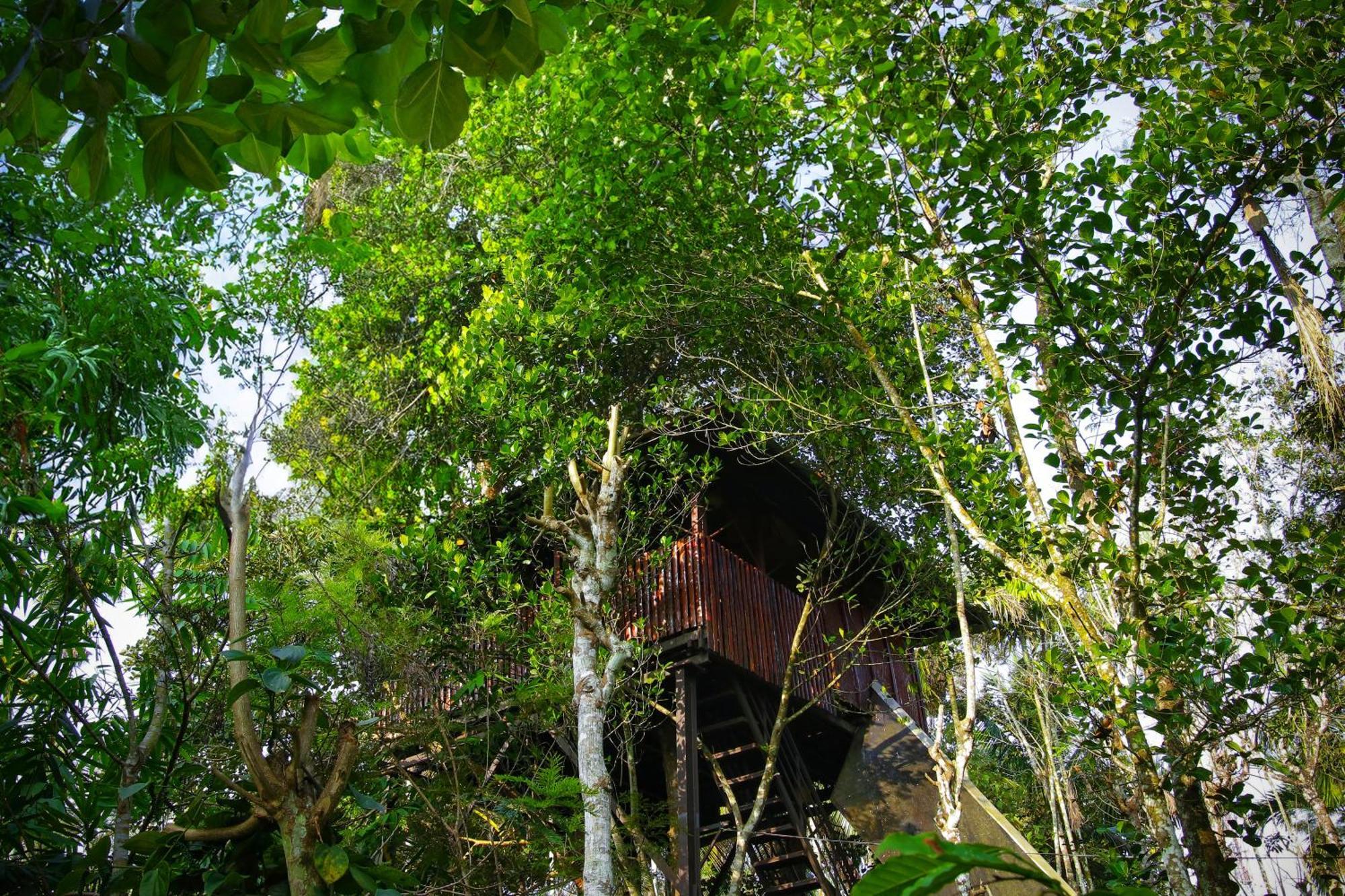 Greens Tree House & Wood House Sultan Bathery Eksteriør billede