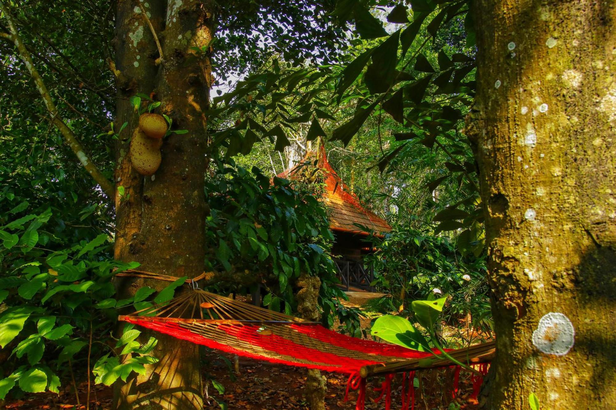 Greens Tree House & Wood House Sultan Bathery Eksteriør billede
