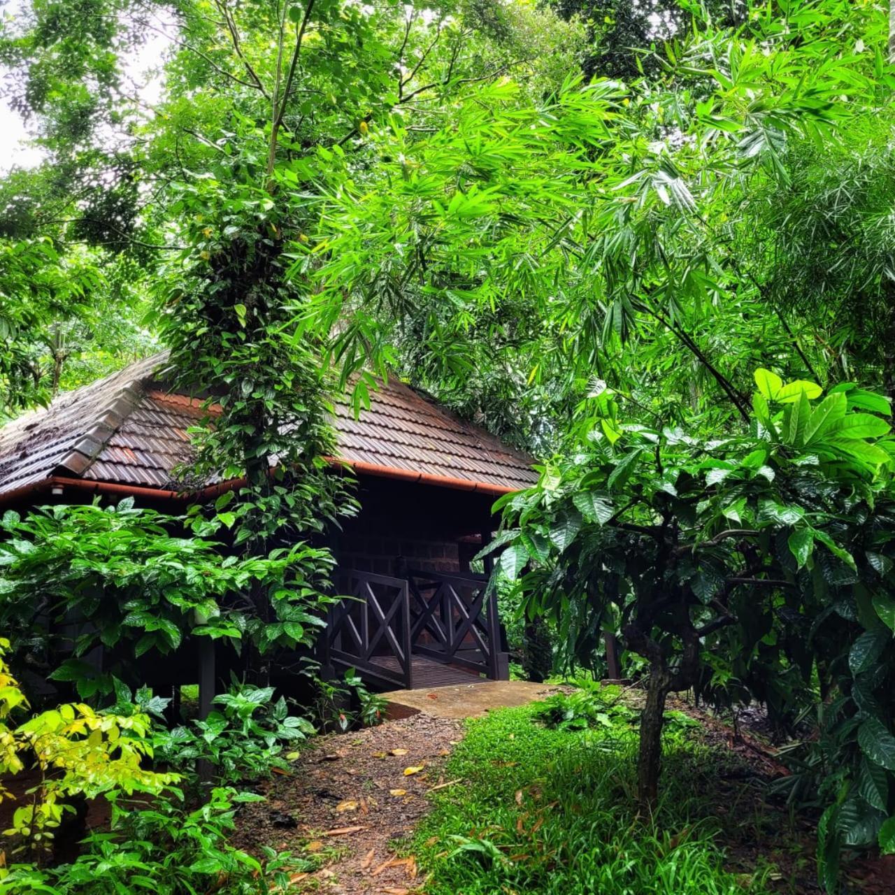 Greens Tree House & Wood House Sultan Bathery Eksteriør billede
