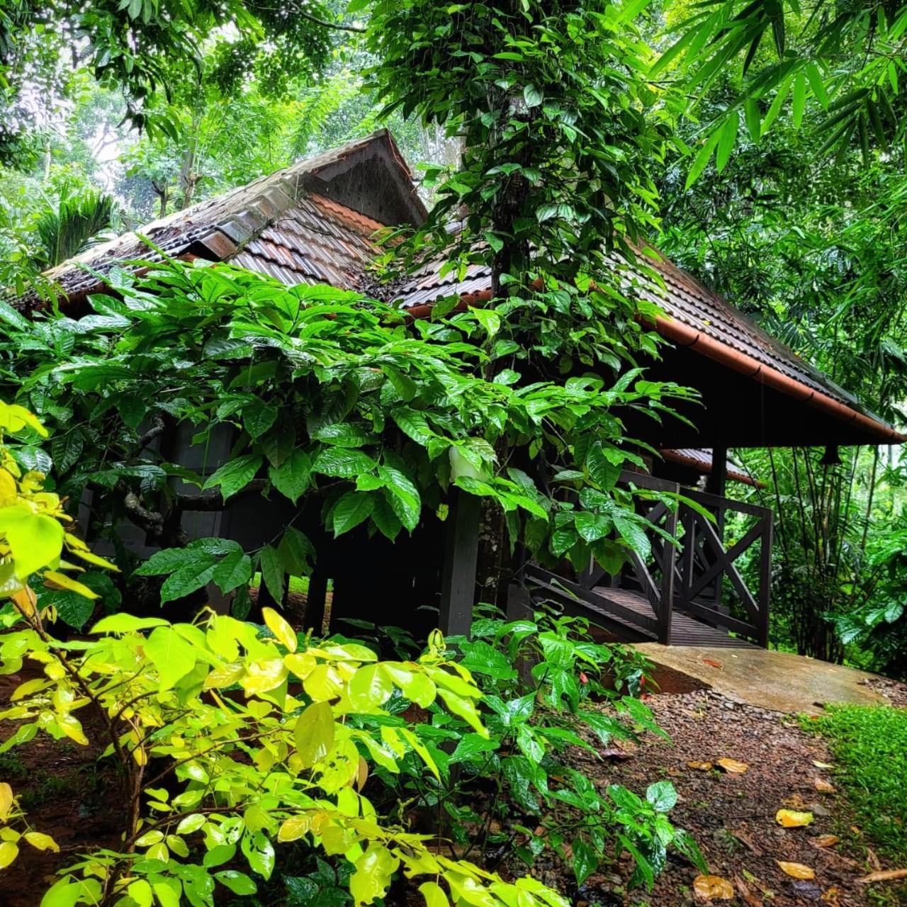 Greens Tree House & Wood House Sultan Bathery Eksteriør billede
