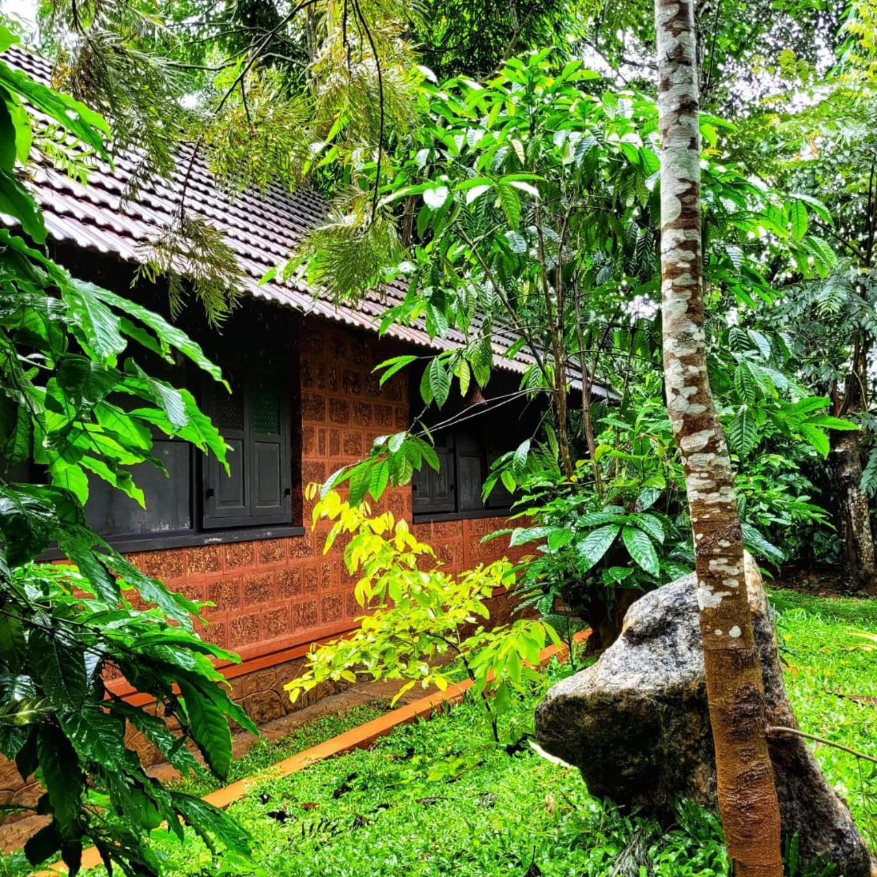 Greens Tree House & Wood House Sultan Bathery Eksteriør billede
