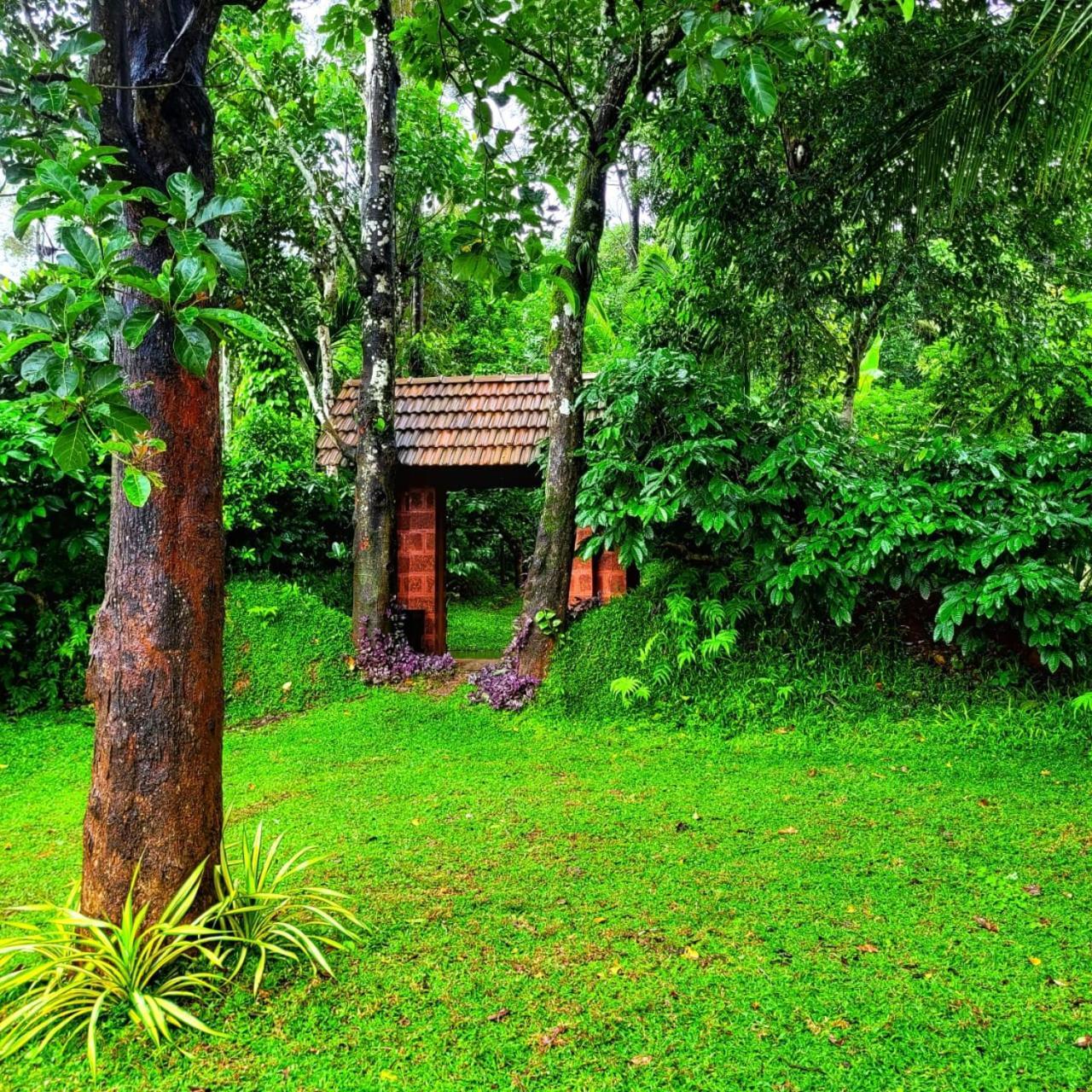 Greens Tree House & Wood House Sultan Bathery Eksteriør billede