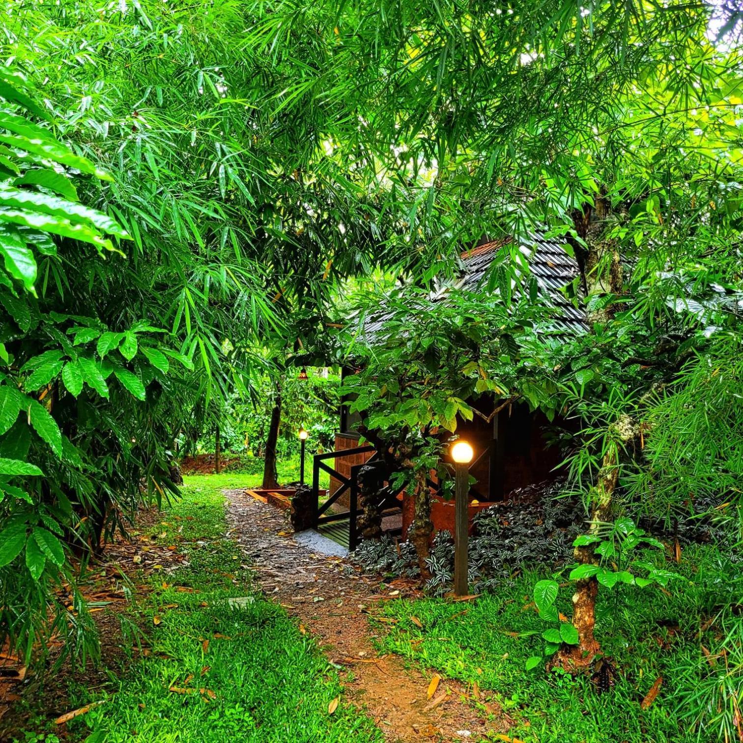 Greens Tree House & Wood House Sultan Bathery Eksteriør billede